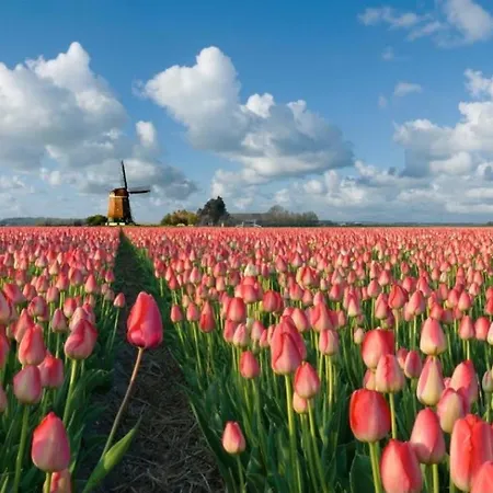 Feriehus 't Zijper Eilant 98