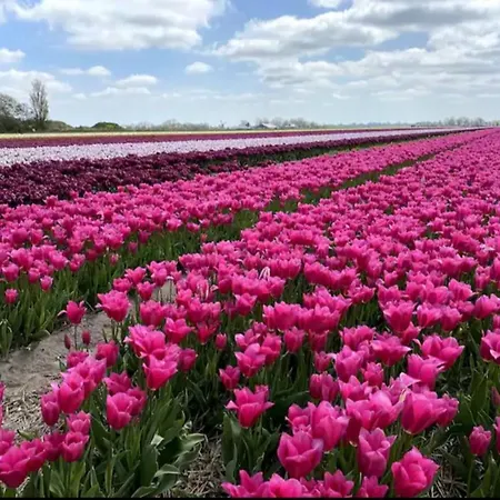 't Zijper Eilant 98 *