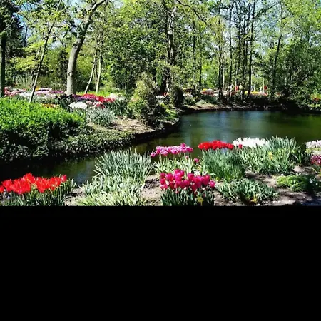 Holiday home 't Zijper Eilant 98 Oudesluis (North Holland)